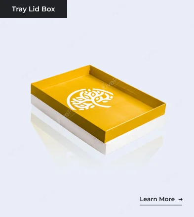 Tray Lid Box22