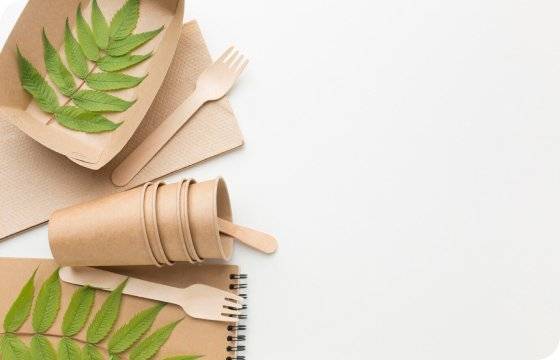Sustainability Initiatives